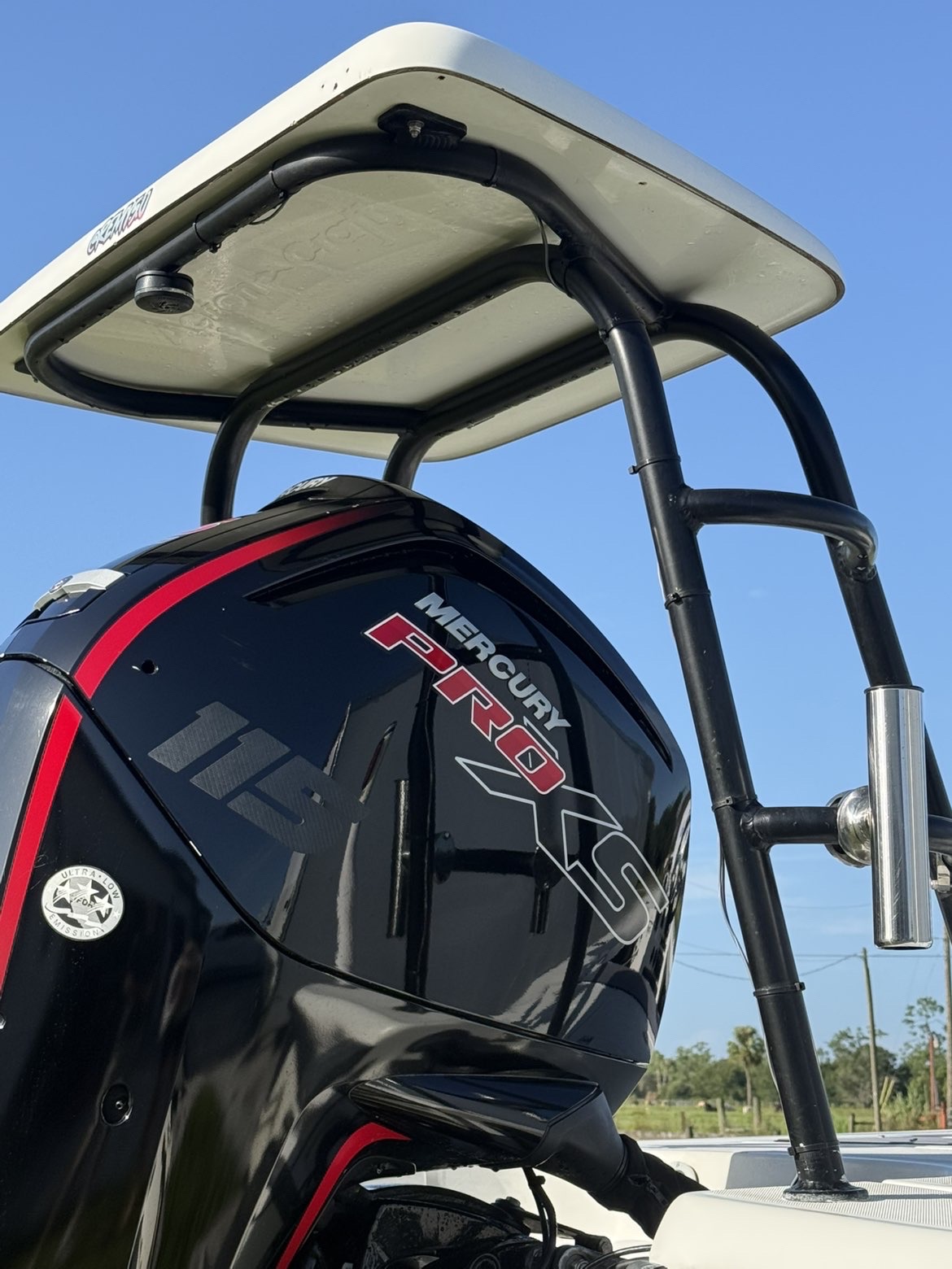Mercury Pro XS outboard and T-top